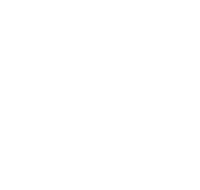Partner school logo